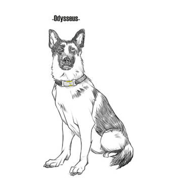 Life Book: Odysseus – Mans Best Friend.